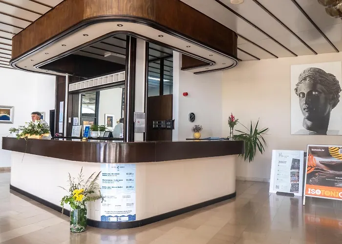 에디타 두브로브니크