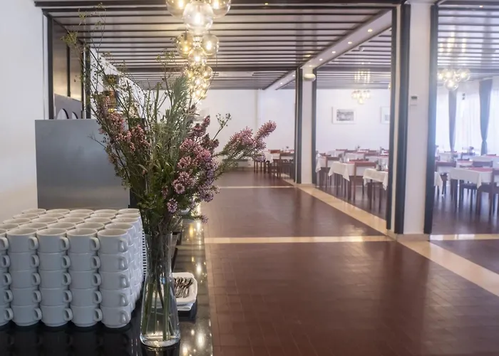 에디타 두브로브니크