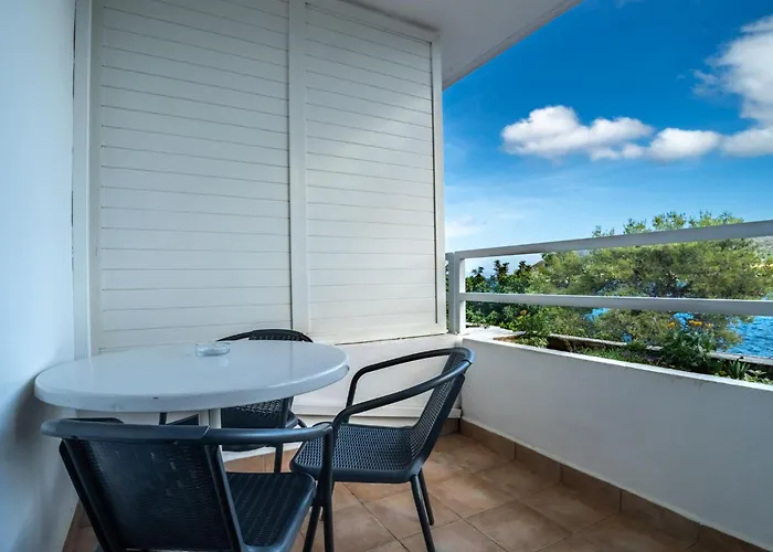 에디타 두브로브니크