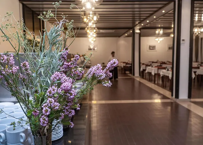 Edita Διαμέρισμα *